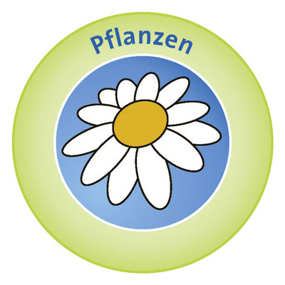 Grafik Pflanzen
